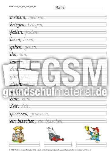 DSS_2S_FW_100_NR_85.pdf